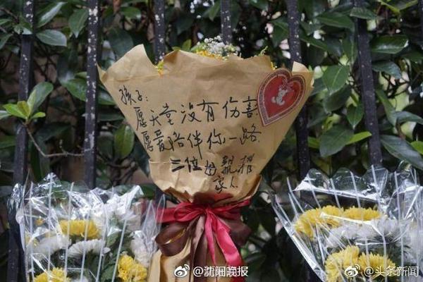 91助手安卓版手机版